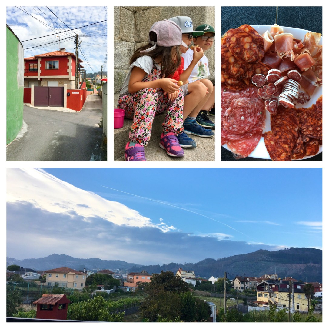 Processed with MOLDIV